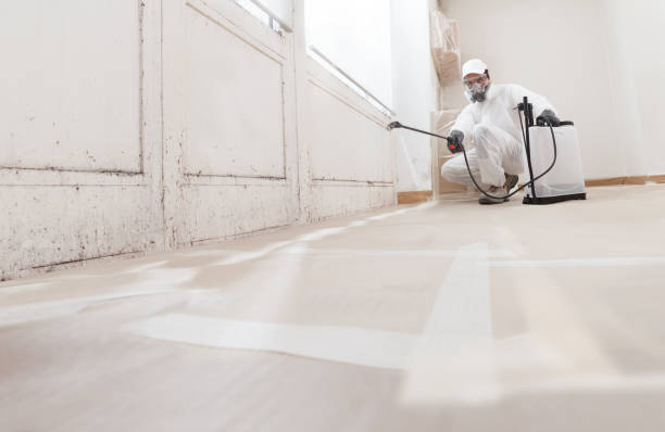 24/7 Emergency Mold Testing experts in Rocky Mount, VA