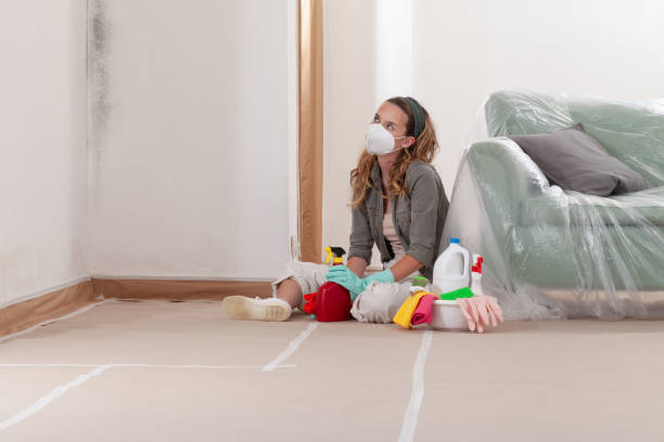 Reliable Mold Testing contractor in Rocky Mount, VA by WQB Mold Removal