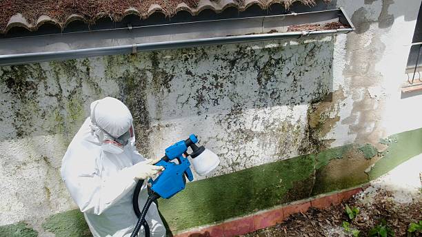 Top rated local Mold Testing specialists in Rocky Mount, VA